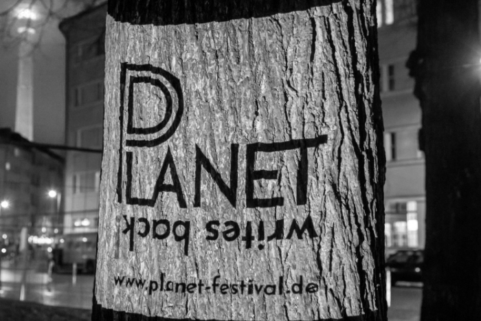 Das Festivalvisual auf einem Baum projiziert Foto by Jan Michalko